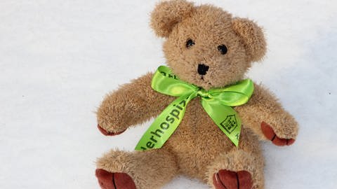 Teddy mit grüner Schleife (Foto: Bundesverband Kinderhospiz e.V.)