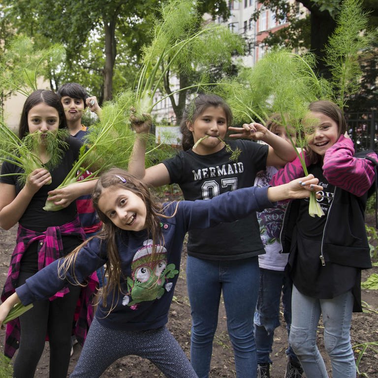 Schüler bei der Fenchelernte (Foto: Katharina Kühnel)