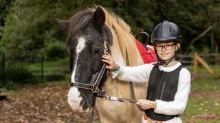 Mädchen streichelt Pferd
