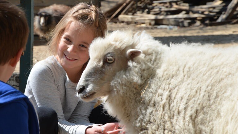 Foto: SWR Naturoase inmitten Hochhaussiedlung (Foto: SWR)