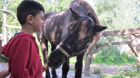Hassan füttert Pferd (Foto: Herzenssache) Hassan füttert Pferd