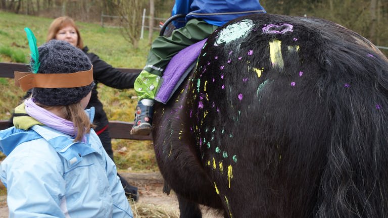 Glasperlenspiel zu Besuch bei Herzenssache-Projekt Pferdeinsel (Foto: SWR)