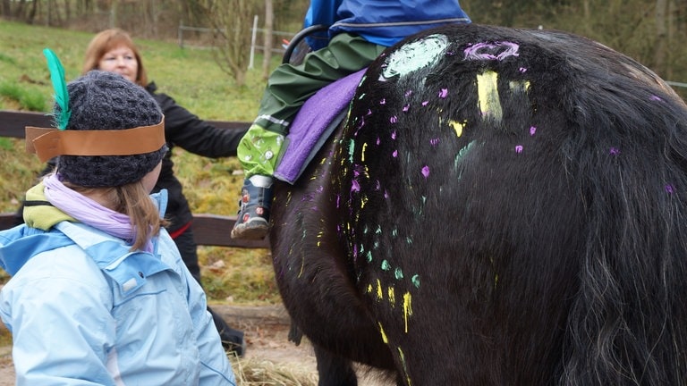 Glasperlenspiel zu Besuch bei Herzenssache-Projekt Pferdeinsel (Foto: SWR)