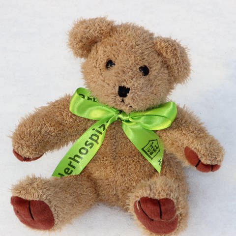 Teddy mit grüner Schleife (Foto: Bundesverband Kinderhospiz e.V.)