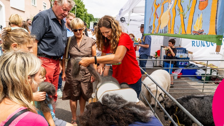 Bei der Kinder- und Jugendfarm Ingelheim wird mit Schafswolle gebastelt (Foto: SWR, Torsten Silz) Bei der Kinder- und Jugendfarm Ingelheim wird mit Schafswolle gebastelt